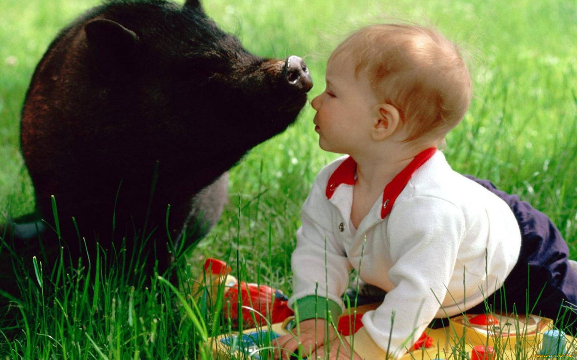 Воспитание детей животные. Для детей. Животные. Животные для малышей. Дети и животные Дружба. Ребенок и животное.